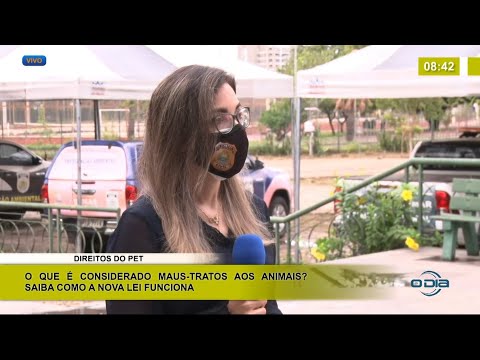 Saiba como a nova lei se aplica aos casos de maus-tratos aos animais 29 01 2021