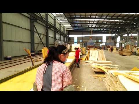 Selected poplar core veneer and best plywood core assembly p...