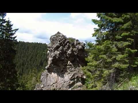 Neue Stempelstelle 221 Jungfernklippe nahe Torfhaus