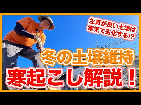 冬場の土壌浸食を防ぐにはどうすればよいでしょうか？今すぐ庭で取り入れるべき10のアクション！  庭園