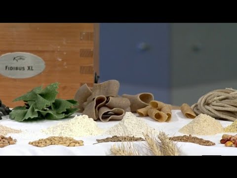 Hour Detroit's Restaurant of the year with Shewolf on Live in the D