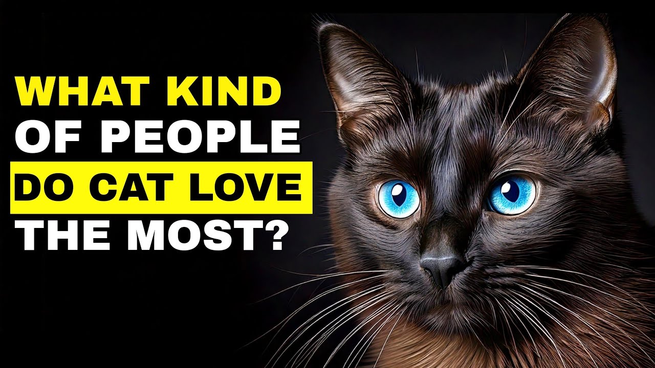 What Kind of People Do Cats Love the Most?