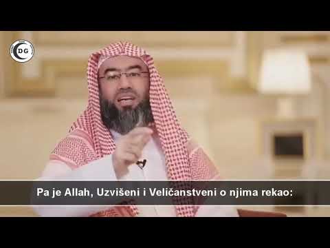 Priča ajeta "Bokovi njihovi se postelja lišavaju" - Nebil El-Ivedi