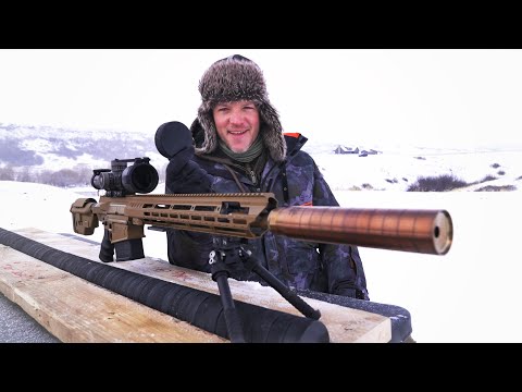 338 Lapua AR vs FROZEN Hockey Pucks!!!