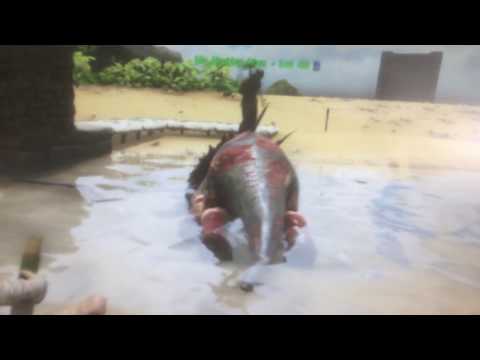 ARK - Trike Attack