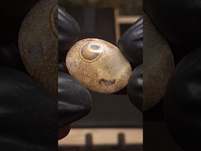 حجر عقيق داؤدي طبيعي مصور هيئة عينين