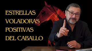 The most favorable areas of your house in 2026 | Flying Stars of the Fire Horse
