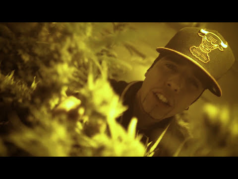 Doze Ermitaño - WEED ALL DAY ft. Dialektico