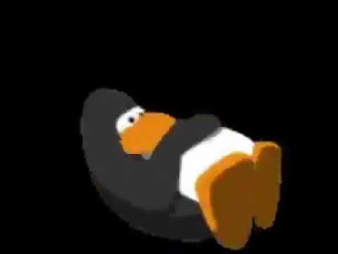 Pinguim dançando música eletrônica árabe braba #Meme