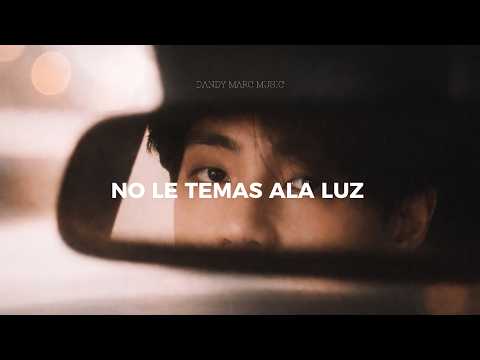 BTS - Like Animals // Sub. Espa&ntilde;ol + Letras