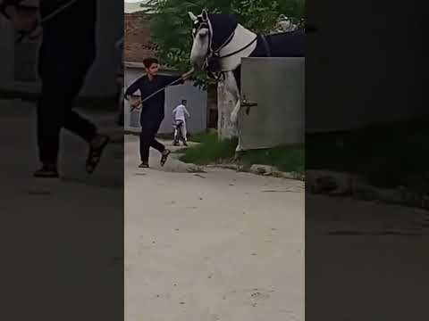 Thank you so much for 40 Million views 🙏💝 #respect #shorts