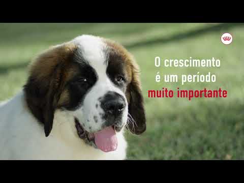 Royal Canin Giant Puppy 1kg