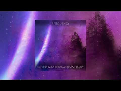 Ele, Equanimous, DJ Taz Rashid, Momentology - Frequency