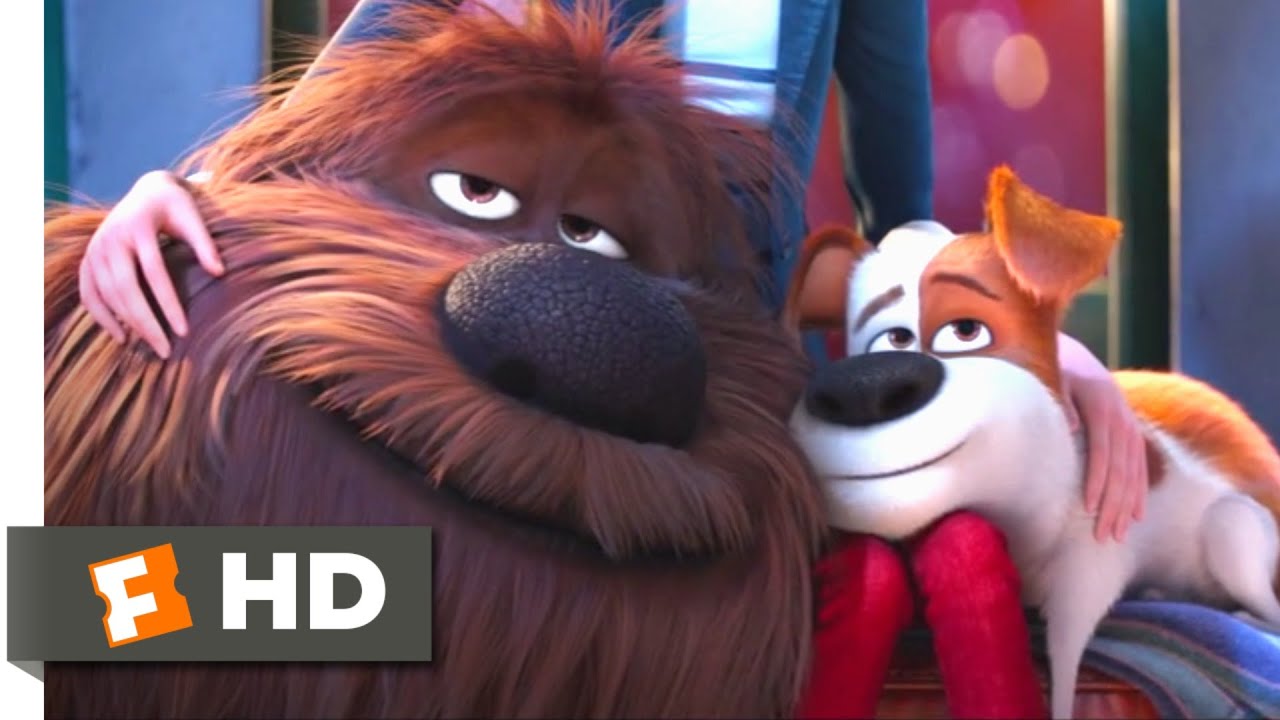 The Secret Life of Pets - Coming Home Scene | Fandango Family