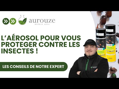 Apercu video categorie