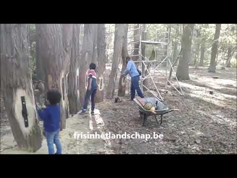 Metallofoon Willebroek test