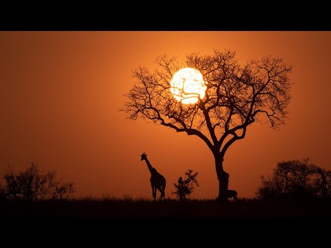 GoodAV: Impactful Storytelling
Our journey and vision for the future - Portfolio video thumbnail