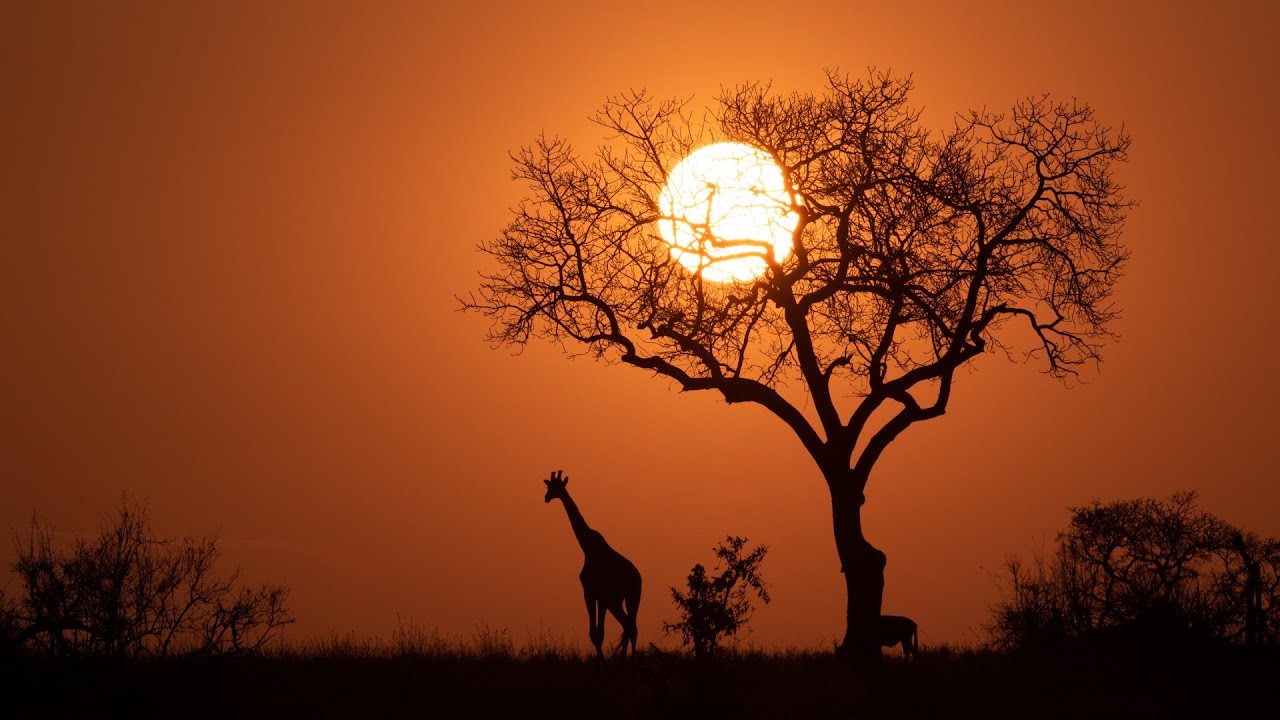 Video thumbnail: GoodAV - Crafting Authentic Stories - Our Journey and Vision. Click to play video about our mission and team.