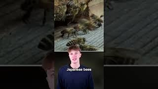 Insane Ways Animals Defend Themselves