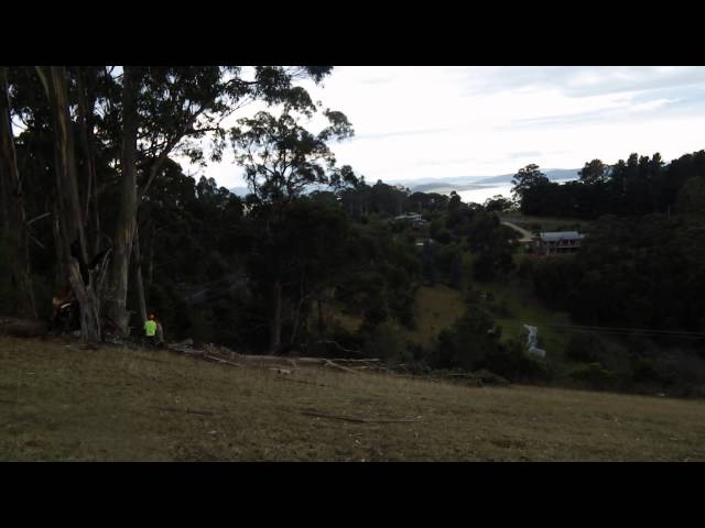 Hobart Tree Chipping & Recycling