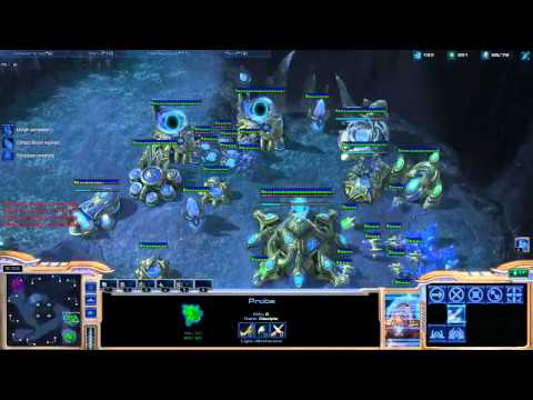 Minigun [FPVOD w/C] vs VPSuppy [PvZ Nerazim Crypt 1v1]