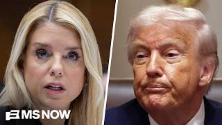 Trump donors ‘deeply unimpressed’ by Pam Bondi’s Epstein hearing: Investigative Journalist
