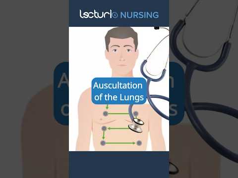 Lung Auscultation Essentials for Nurses 👩‍⚕️ #NursingTechniques #PatientAssessment #nclex