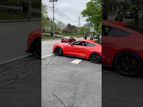 SHELBY GT500 FULL SENDS OUT OF CAR SHOW.