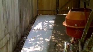 Fence and Concrete  for Stan + Pat