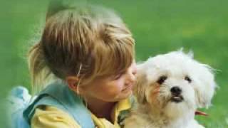 SI PUO&#39; ESSERE AMICI PER SEMPRE