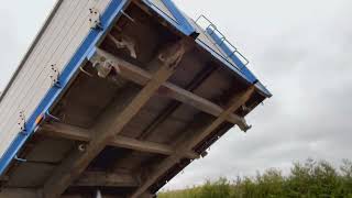 Reboque basculante TJÖRNARPSSLÄP B 16 MST | Imagem 4 - Autoline