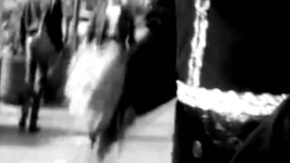 Interactive - Who Is Elvis video