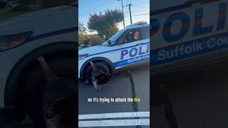 You're under arrest🐾🚔#animals #funny #police #fyp #shorts