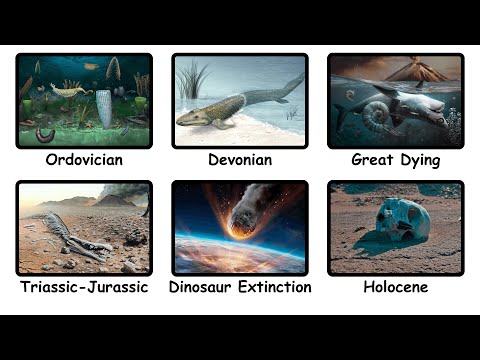 Every MASS EXTINCTION Explained in 9 Minutes