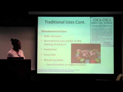 Cola nitida (Kola Nut)