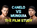 Canelo vs Munguia: THE FILM STUDY