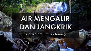 Download lagu Air Mengalir dan Jangkrik | Suara Alam | Musik Tenang mp3 Download lagu Air Mengalir dan Jangkrik | Suara Alam | Musik Tenang mp3