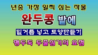 [텃밭농부 1,778] 이른 봄 가장 일찍 심는 작물. 완두콩밭에 밑거름 넣고 토양만들기 #완두콩재배