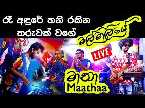 මල්මාලියේ ❤වෙනස්ම විදිහකට👉Ra andure thani rakina | Maathaa