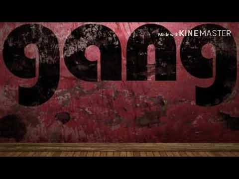 Hershey Montana- Gang Gang by 612 Ent