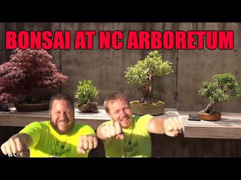 Bonsai Exhibit at The North Carolina Arboretum ~ Episode 2