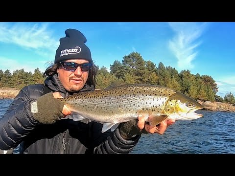 INTRO | SYKSYN ENSIMMÄINEN MERITAIMEN PÄTKÄ  | ÄLÄ MISSAA TÄTÄ