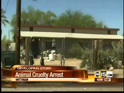 Arizona hoarder arrested, used cats for stew