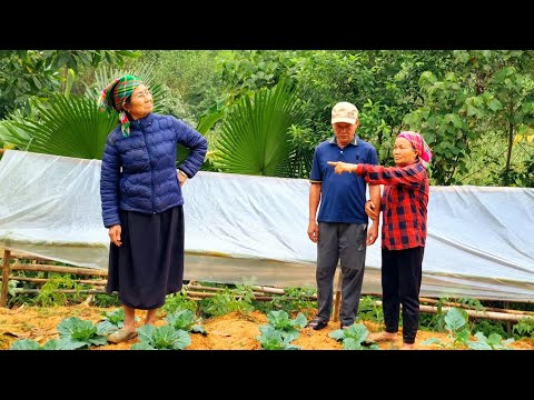 Life was peaceful, but Mrs. Nhớ's attitude changed when she learned the truth about Uncle Vịnh.