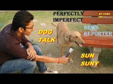 Pratyush Tiwari Perfectly i...