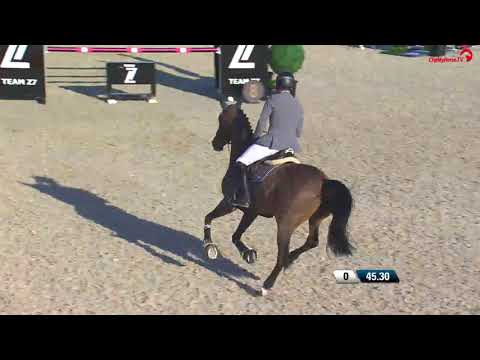 Philipp Weishaupt | CSI4* | Al Shira'aa HorseShow | Abu Dhabi | 2018