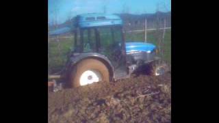 the seeds - daisy mae