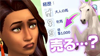 シムズ４の馬が可愛くて売りには出せない気もする【 The Sims 4 追加パック | DLC Review | Horse Ranch Expansion Pack 】後編