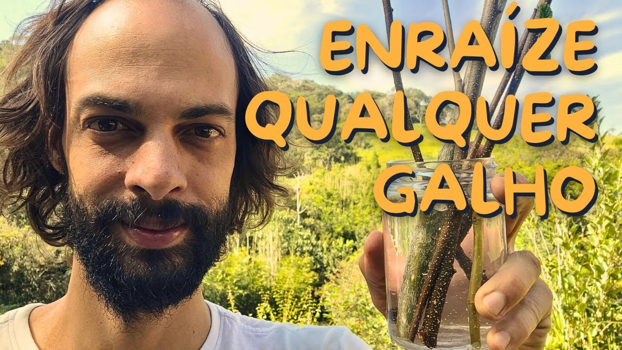 Como Enraizar Galhos de Qualquer Planta - Enraizador Natural