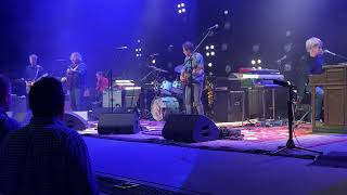 Wilco - Company in My Back